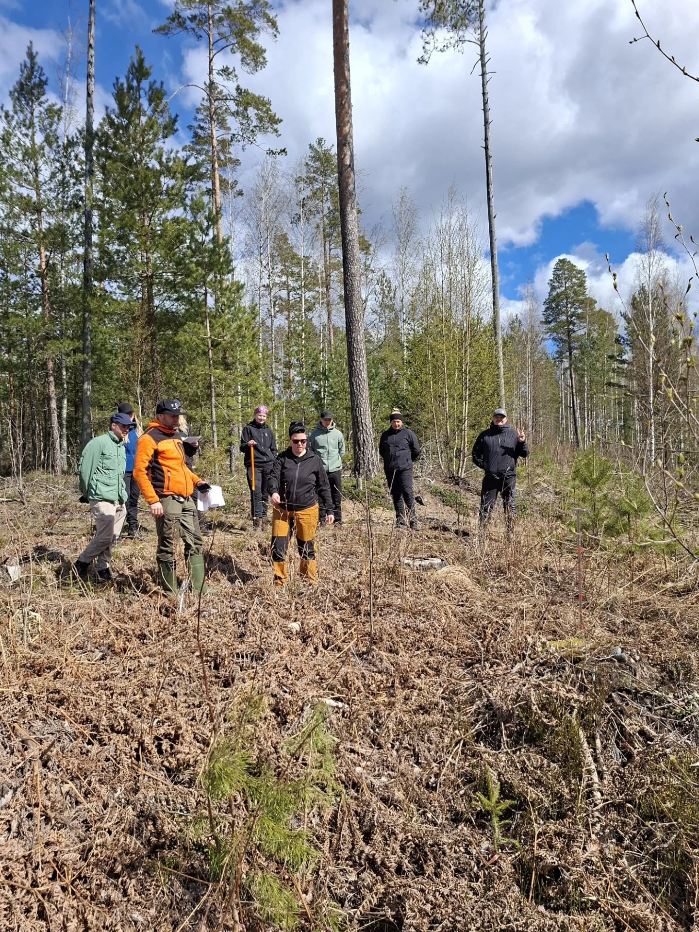 Kevätretkeily: uudistumisen arviointia muokatulla alalla.