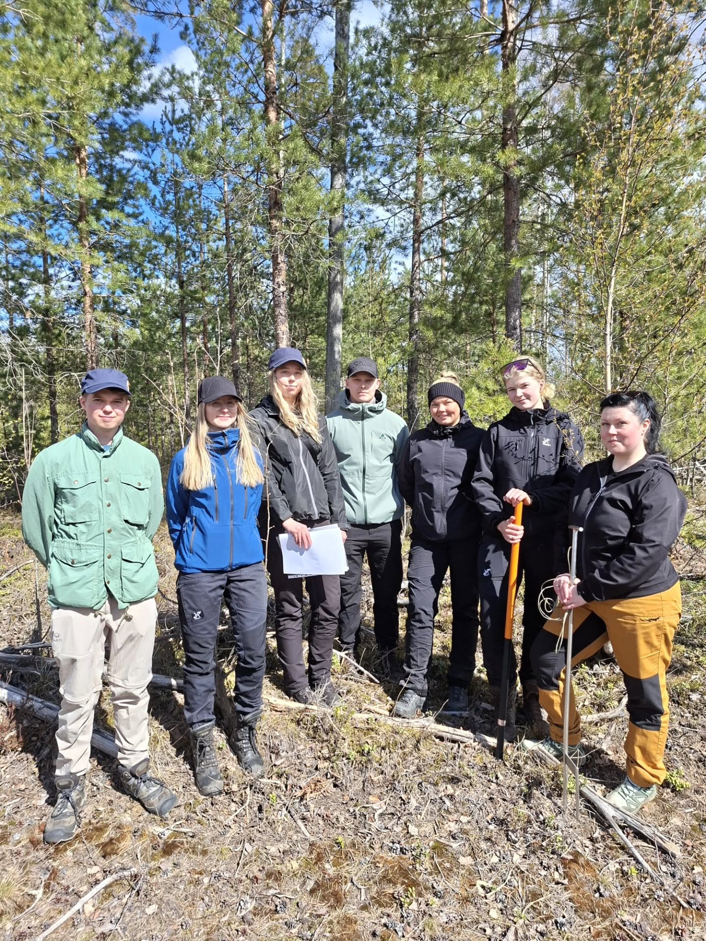 Metsäalan opiskelijat laskevat männyn taimia neuvojiemme kanssa.